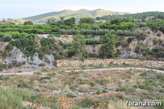 Procesin La Huerta 2017 - 42