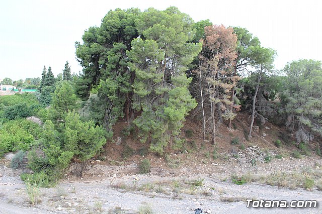 Procesin La Huerta 2017 - 92