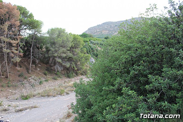 Procesin La Huerta 2017 - 93