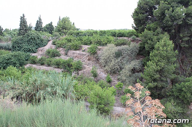 Procesin La Huerta 2017 - 96