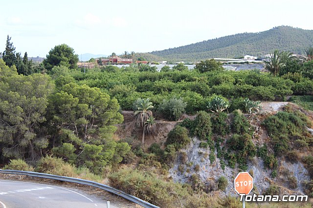 Procesin de la Huerta 2019 - 4