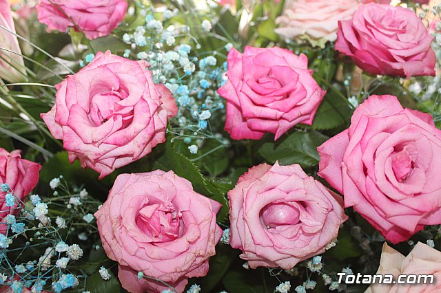 Procesin de la Huerta 2019 - 12