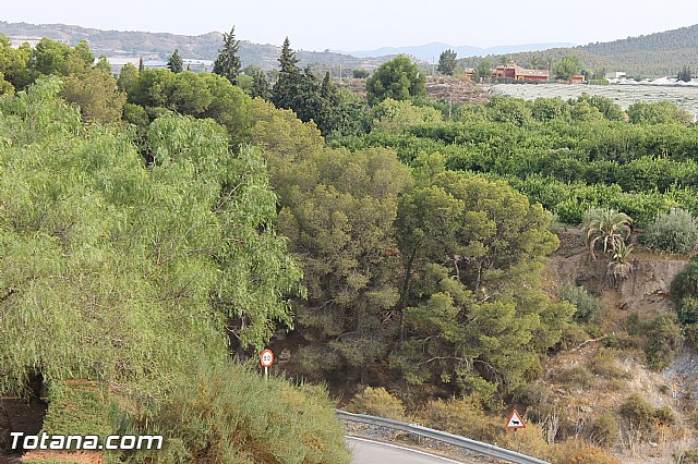 Procesin de La Huerta 2012 - 11