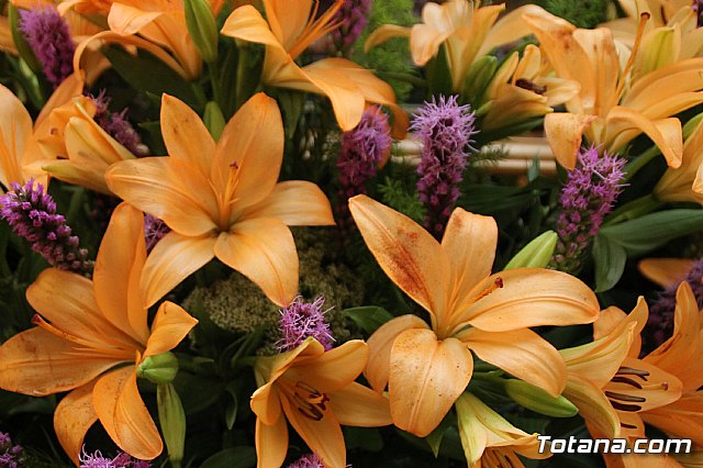 Procesin Fiestas Las Lomas El Paretn 2017 - 8