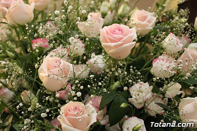 Procesin Fiestas Las Lomas El Paretn 2017 - 12