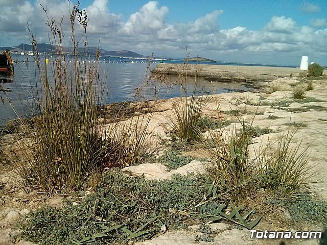 La Manga. Cala del Pino, Mar Menor y Mar Mediterrneo - 10