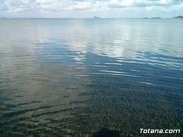 La Manga. Cala del Pino, Mar Menor y Mar Mediterrneo - 25