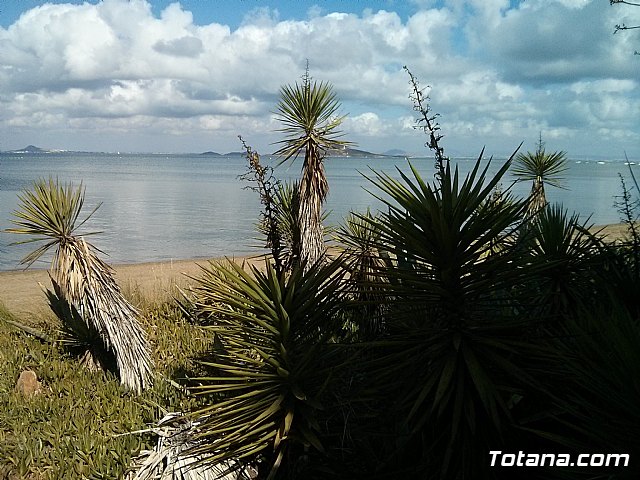 La Manga. Cala del Pino, Mar Menor y Mar Mediterrneo - 27