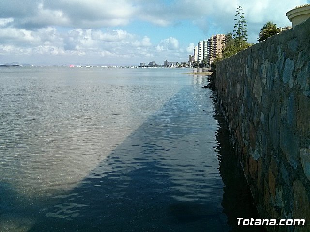 La Manga. Cala del Pino, Mar Menor y Mar Mediterrneo - 32