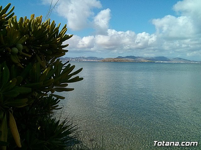 La Manga. Cala del Pino, Mar Menor y Mar Mediterrneo - 34
