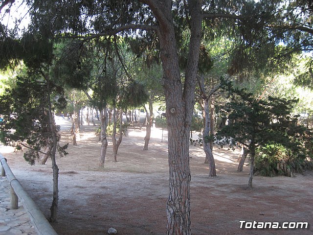 La Manga. Cala del Pino, Mar Menor y Mar Mediterrneo - 50