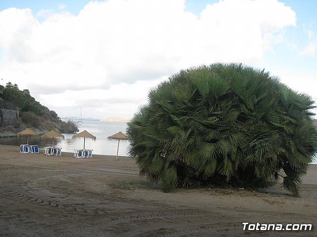 La Manga. Cala del Pino, Mar Menor y Mar Mediterrneo - 51