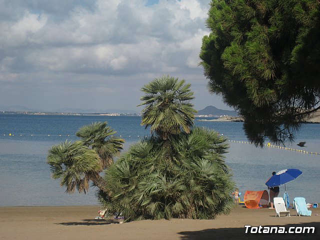La Manga. Cala del Pino, Mar Menor y Mar Mediterrneo - 67