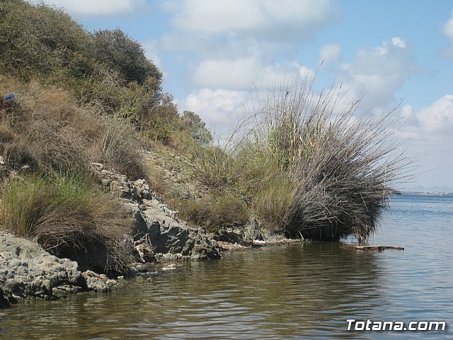 La Manga. Cala del Pino, Mar Menor y Mar Mediterrneo - 104