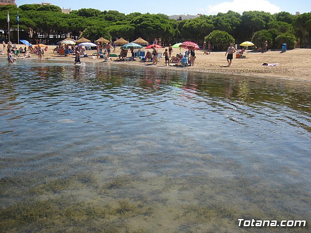 La Manga. Cala del Pino, Mar Menor y Mar Mediterrneo - 105