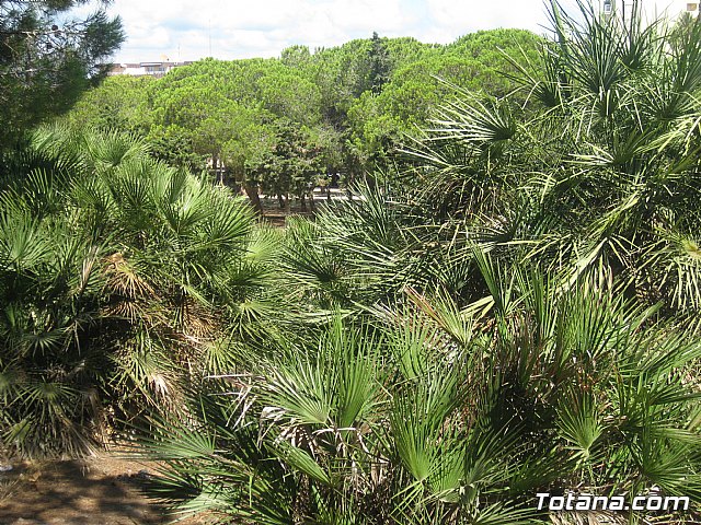 La Manga. Cala del Pino, Mar Menor y Mar Mediterrneo - 107