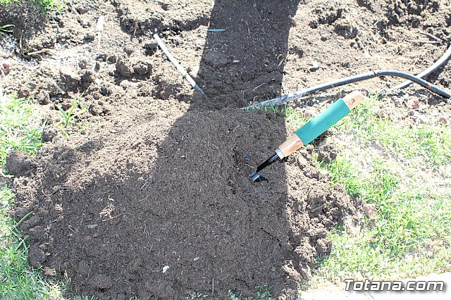 Bendicin del Jardn Hdad de La Pos - 31