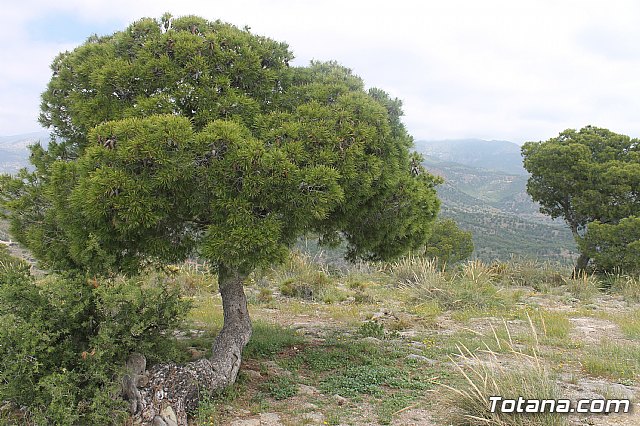Jornada de convivencia Hermandad de 