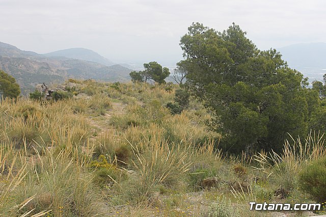 Jornada de convivencia Hermandad de 