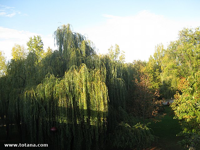 Viaje a La Rioja. Octubre 2011 - 40