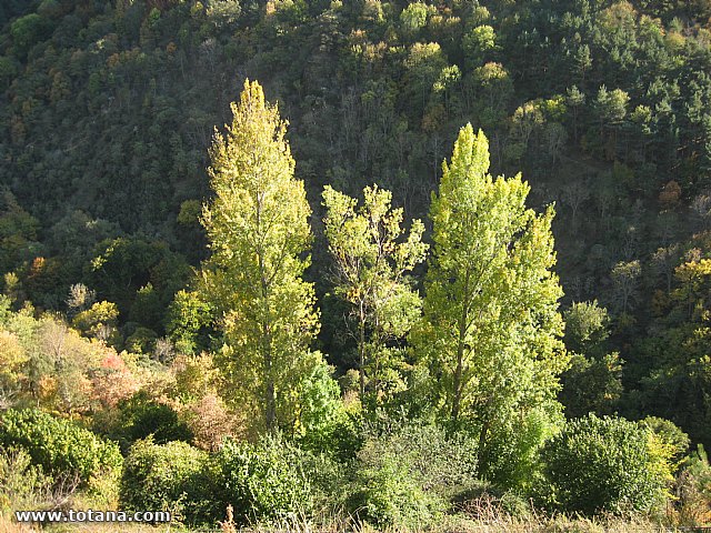 Viaje a La Rioja. Octubre 2011 - 115