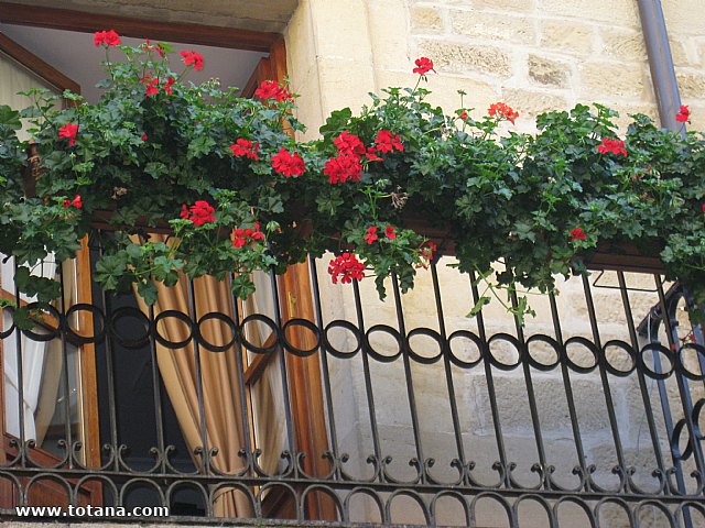 Viaje a La Rioja. Octubre 2011 - 260