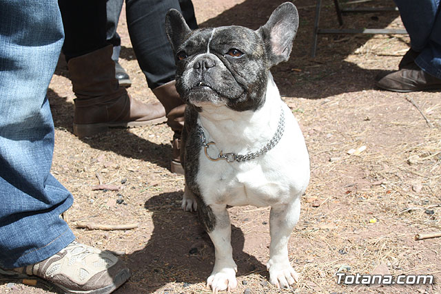 Jornada de convivencia en La Santa. Hermandades y Cofradas. 15/04/2012 - 235