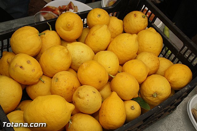 Jornada de convivencia en La Santa. Hermandades y Cofradas. 15/04/2012 - 31