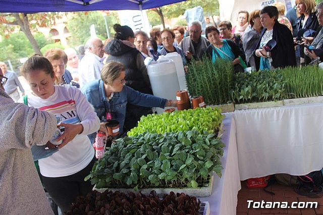 La Santa - Domingo 20 de octubre 2019 - 3