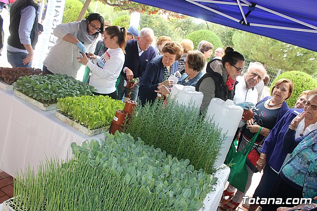 La Santa - Domingo 20 de octubre 2019 - 4