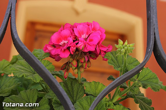 Jornada de convivencia. Hermandades y Cofradas - Sbado 26 de abril de 2014 - 101