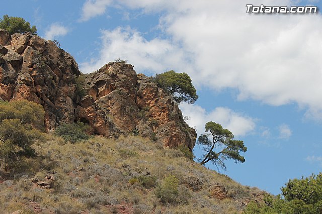 Jornada de convivencia. Hermandades y Cofradas - Sbado 26 de abril de 2014 - 164