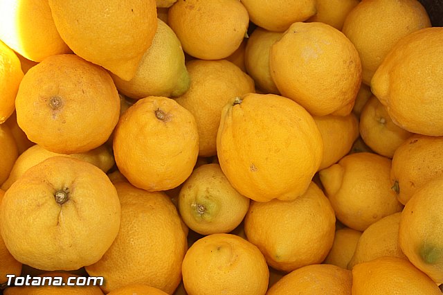 Jornada de convivencia. Hermandades y Cofradas - Domingo 27 de abril de 2014 - 125