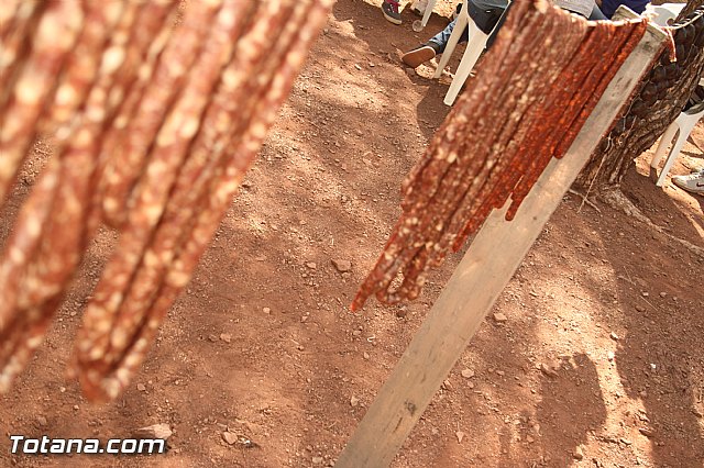 Jornada de convivencia. Hermandades y Cofradas - Domingo 27 de abril de 2014 - 143