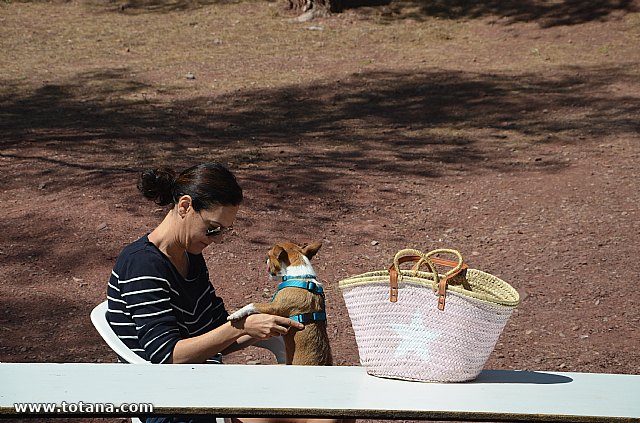 Jornada de convivencia. Hermandades y Cofradas - Domingo 27 de abril de 2014 - 302