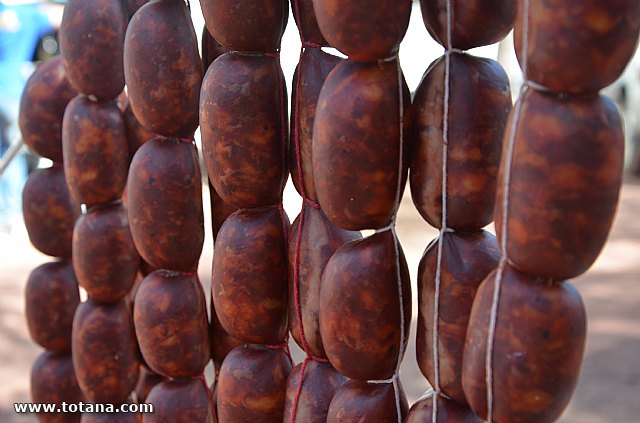 Jornada de convivencia. Hermandades y Cofradas - Domingo 27 de abril de 2014 - 422