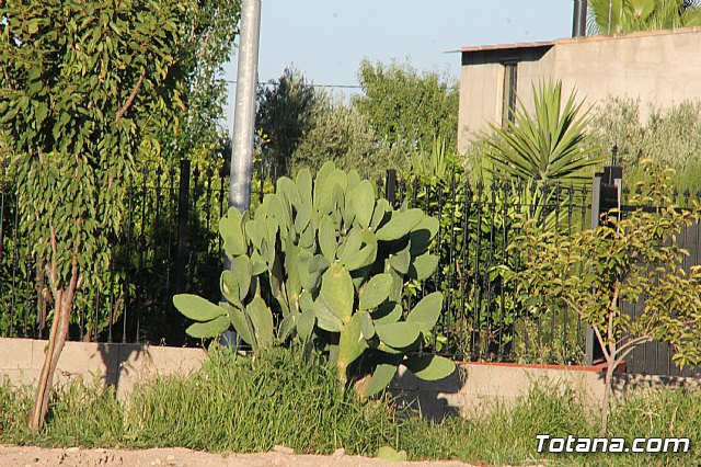 Misa y procesin Fiestas de Lbor 2017 - 132