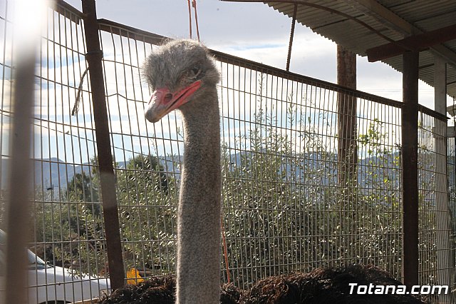 Romera rociera Lbor 2018 - 15