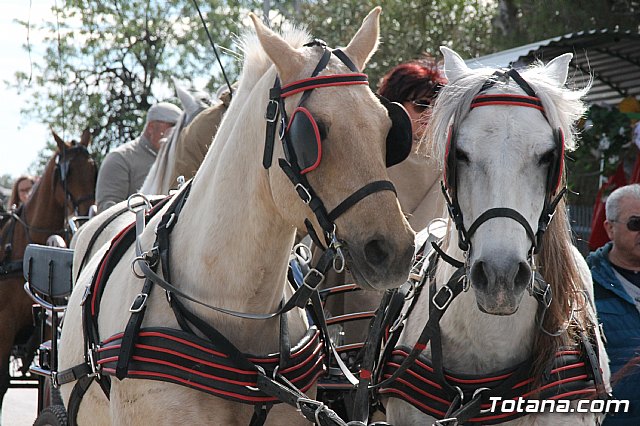 Romera rociera Lbor 2018 - 61