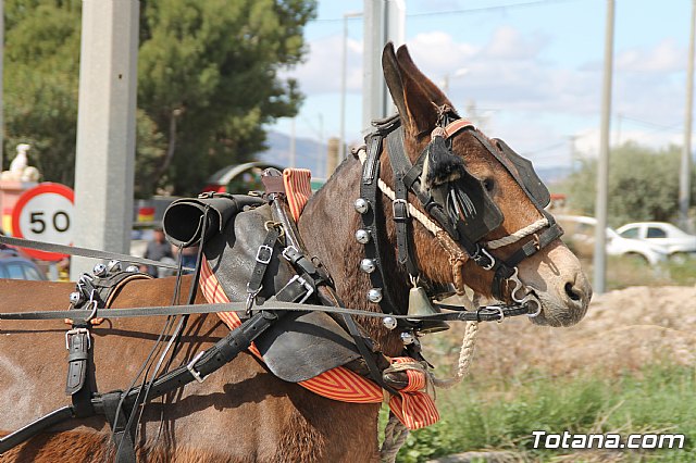 Romera rociera Lbor 2018 - 139