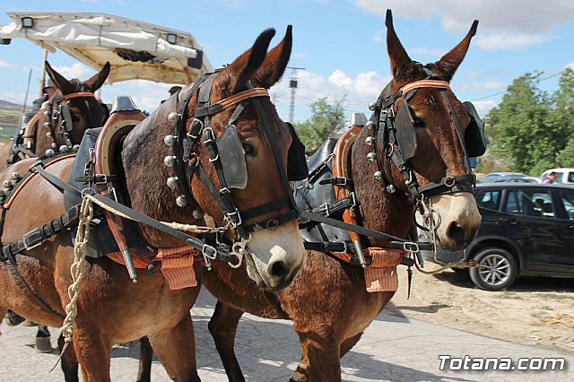 Romera rociera Lbor 2018 - 150