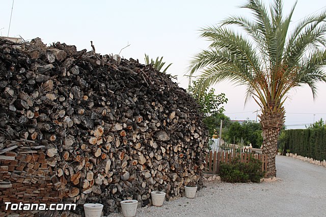 Procesin Lbor 2015 - 119