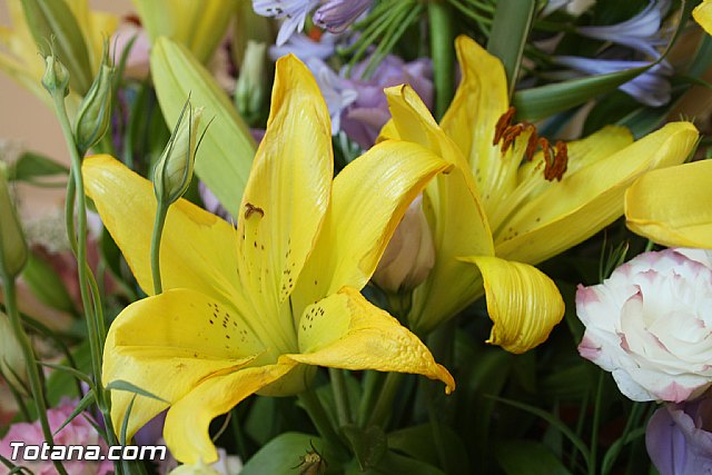 Procesin en honor a San Pedro - Fiestas de Lbor - 2012 - 10