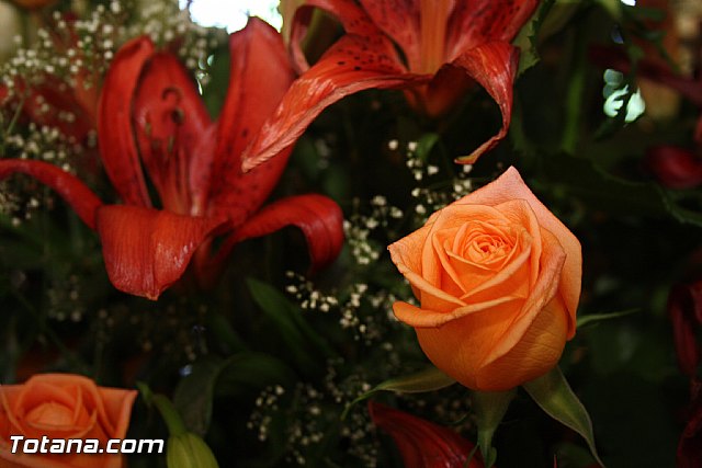 Procesin en honor a San Pedro - Fiestas de Lbor - 2012 - 14