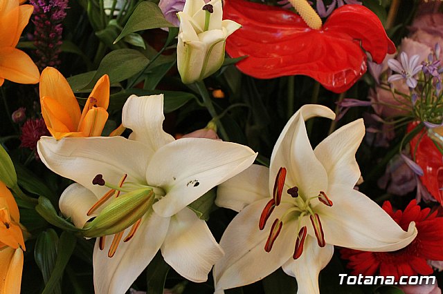 Procesin de Lbor 2013 - 9