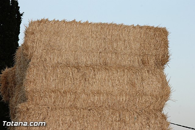 Procesin Fiestas de Lbor 2016 - 90