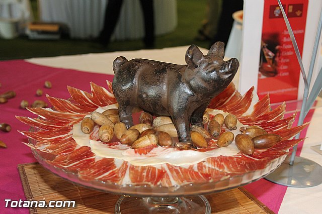 Su Alteza Real la Princesa de Asturias, Doa Letizia Ortiz, en Totana - 287