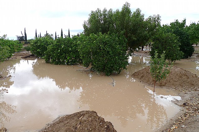 Lluvias torrenciales en Totana - 28 de Septiembre de 2012 - 42