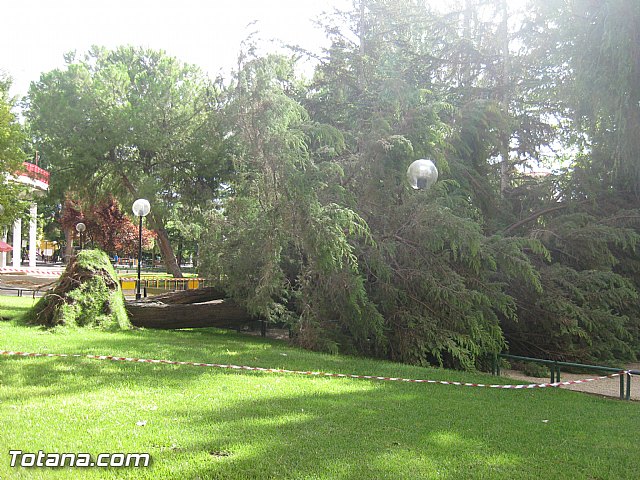 Lluvias torrenciales en Totana - 28 de Septiembre de 2012 - 37