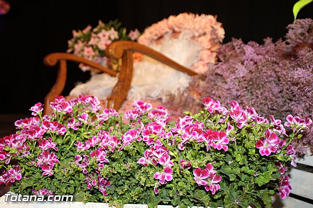 XXXV Festival de Danza Clsica y Espaola 2016 - Estudio de Danza Loles Miralles  - 168